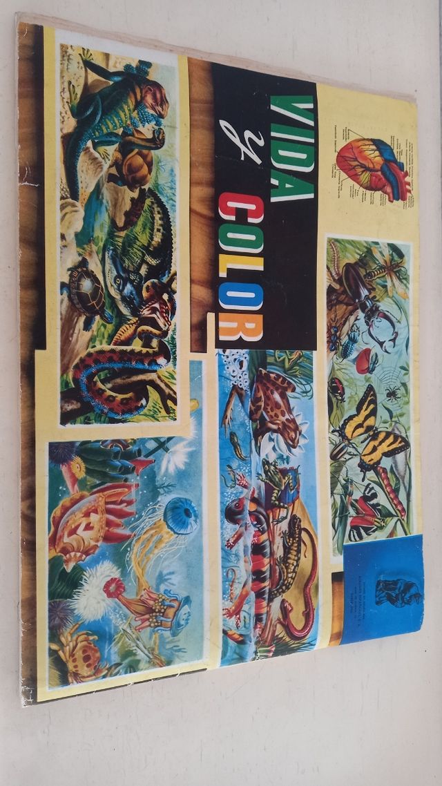 Album VIDA Y COLOR