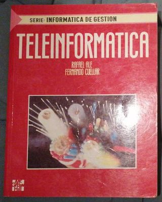 TELEINFORMATICA, Serie informatica de Gestion