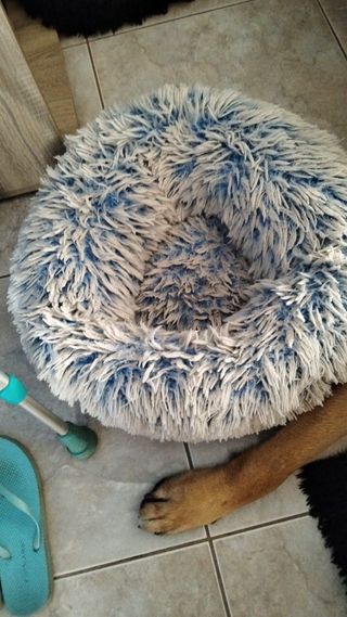 Cama nido perro azul-blanca