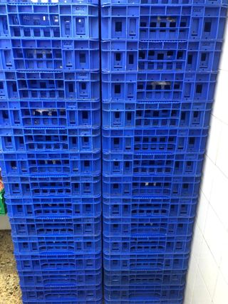 40 Cajas plástico azules