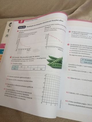 Caderno de Fichas/Recuperação de aprendizagens ...