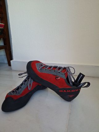 Pies de gato Mammut