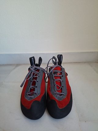 Pies de gato Mammut