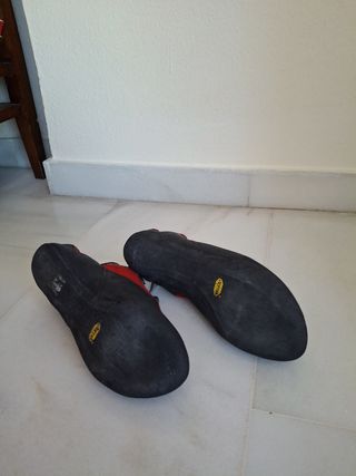 Pies de gato Mammut