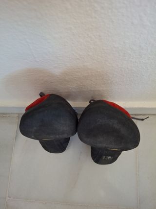 Pies de gato Mammut