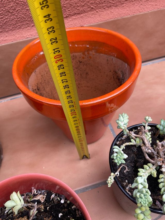 6 Macetas suculentas - cerámica y plástico