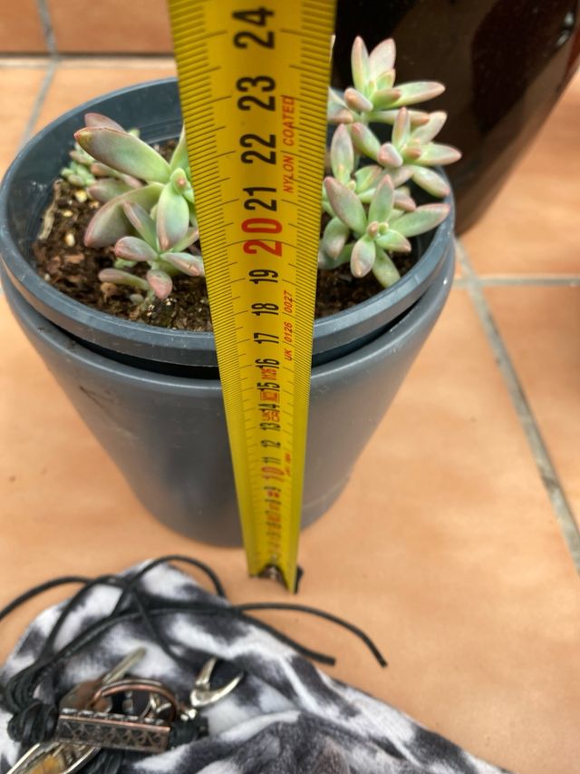 6 Macetas suculentas - cerámica y plástico