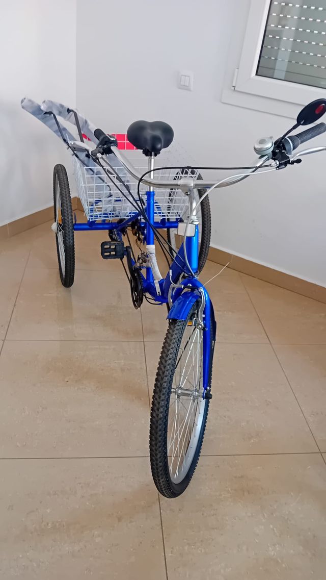 Bicicleta triciclo adulto azul