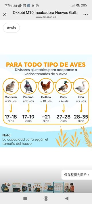 Incubadora Okkobi M10 huevos