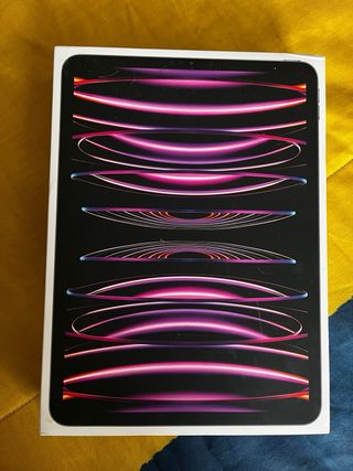 iPad Pro 11” 2022 512GB Gris Espacial COMO NUEVO