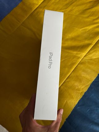 iPad Pro 11” 2022 512GB Gris Espacial COMO NUEVO