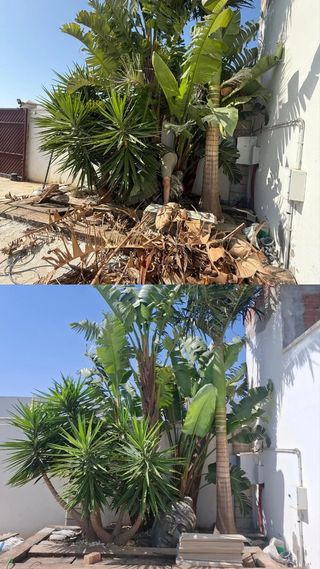 Jardinería 