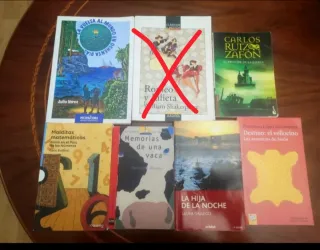 Libros de la ESO en castellano