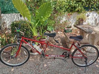 Bicicleta tándem Monty
