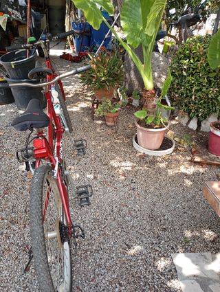 Bicicleta tándem Monty