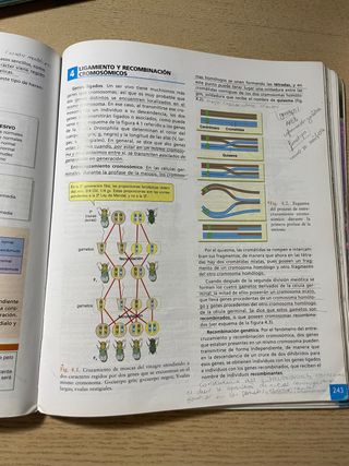 Biologia 2º Bachillerato / 2009