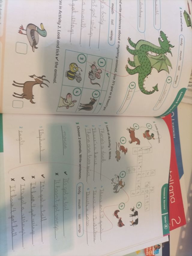 Open Up 2. Activity Book Exam