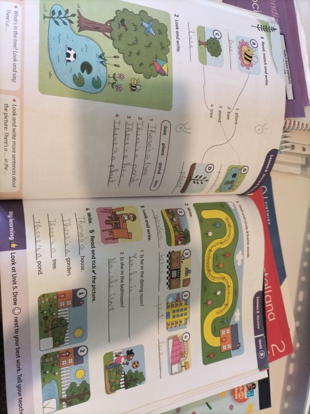 Open Up 2. Activity Book Exam