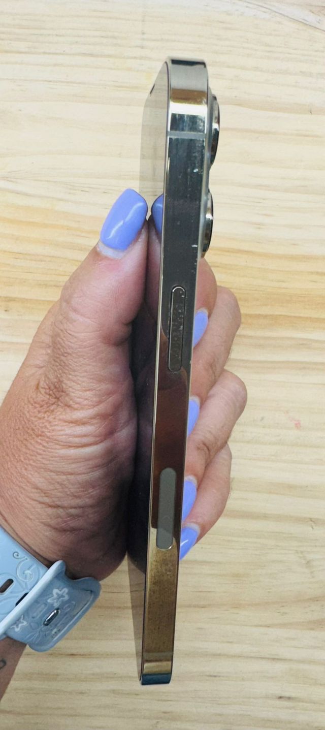 iPhone 13 Pro 256 GB Oro