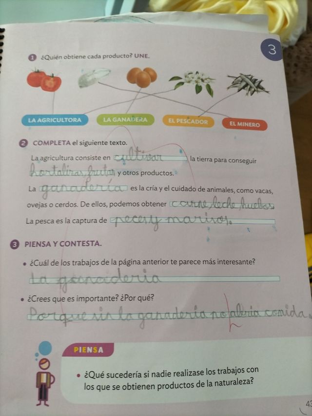CIENCIAS SOCIALES 2 PRIMARIA CONSTRUYENDO MUNDOS