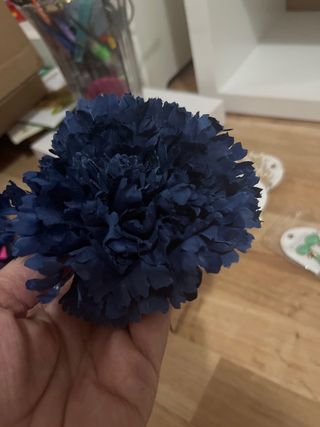 Clavel azul marino - Flor flamenca