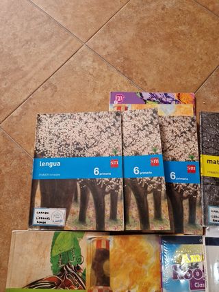 Packard libros 6°de Primaria 