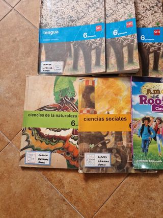 Packard libros 6°de Primaria 
