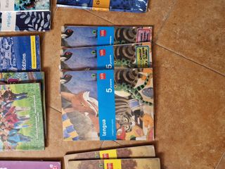Pack libros 5 de Primaria 