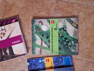 Pack libros 5 de Primaria 