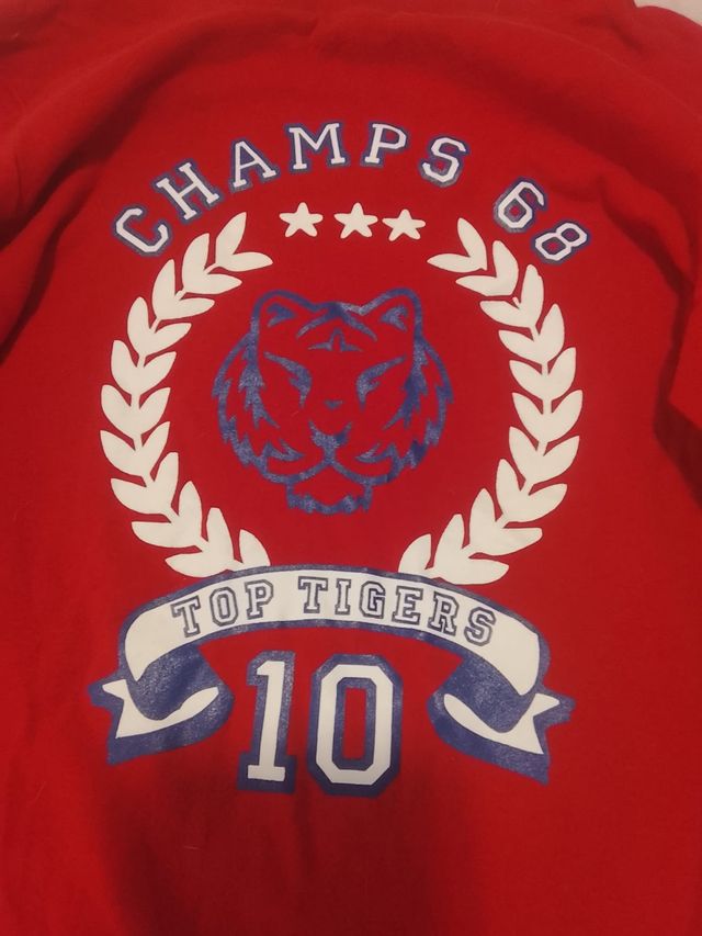 Camiseta Niño 3-4 años - Tigre