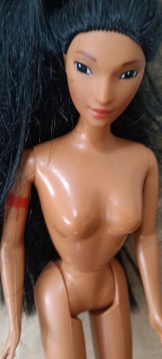 Barbie Pocahontas