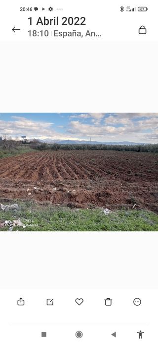 Alquiler terreno con agua