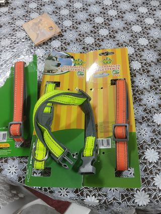 Collari cani: 4 collari per cani massimo 20 kg