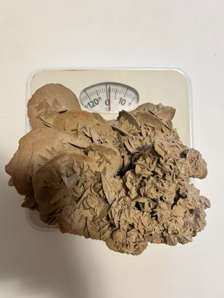 Rosa del Deserto - minerale