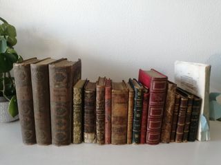 Gran lote de libros antiguos