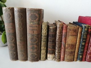 Gran lote de libros antiguos
