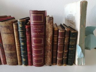 Gran lote de libros antiguos