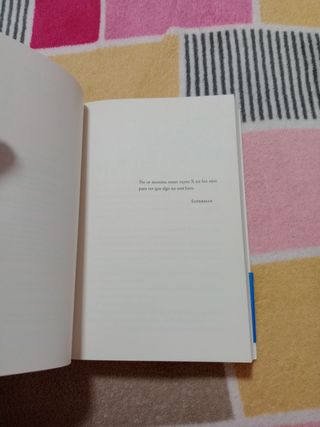 Invisible / Invisible (Spanish Edition)