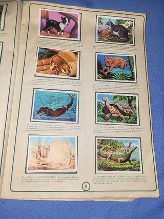 Álbum cromos El Más y El Menos