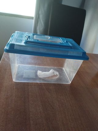 Pecera azul transparente