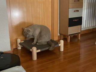 Cama gato/perro tatami - Gris nueva 50*50*15