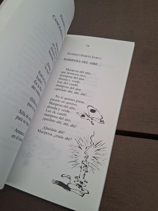 POESIA ESPAÑOLA PARA NIÑOS. (Spanish Edition)