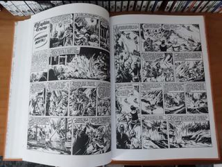 Las aventuras del Capitán Trueno