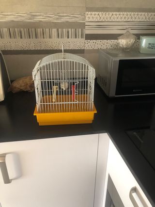 Jaula pajaros blanca y amarilla Ideal parejita