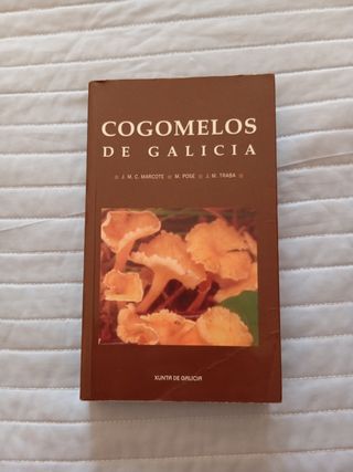Cogomelos De Galicia