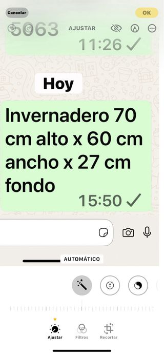 Vitrina metálica antigua (invernadero )