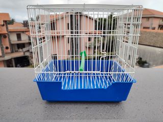 Gabbia uccelli piccola bianca e blu