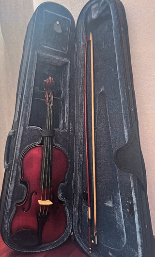 Violín Carlo Giordano VS-0 3/4