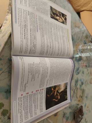 Lengua Castellana y Literatura I 1º Bachillerat...
