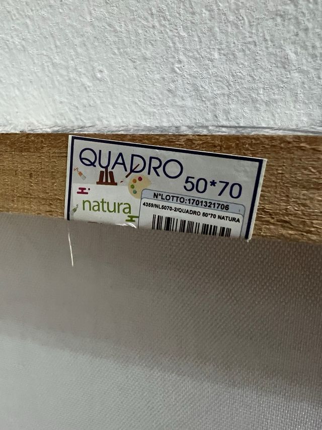 Quadro neve Central Park 70x50